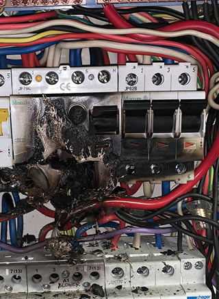 Port Orange Emergency Electrician